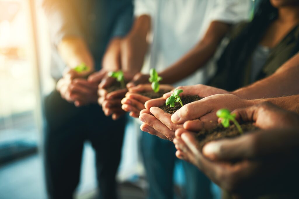 Philanthropy and thoughtful giving, five sets of hands holding saplings or seedlings, growth, giving